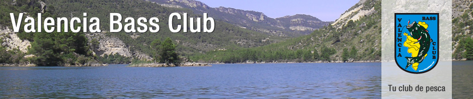 VLC_Banner04