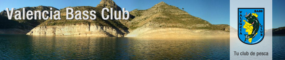 VLC_Banner19